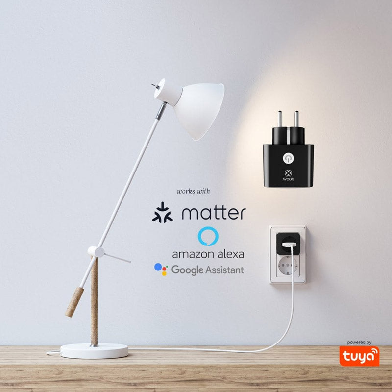 WOOX R6169 Smart WiFi Energy monitoring Matter pametna vtičnica