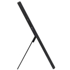 ASUS ZenScreen MB16AHV 40cm (15,6") FHD IPS USB-C prenosni monitor