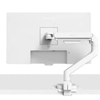 BenQ Ergo Arm BSH02 17''-45'' do 20kg belo namizno stojalo za monitor