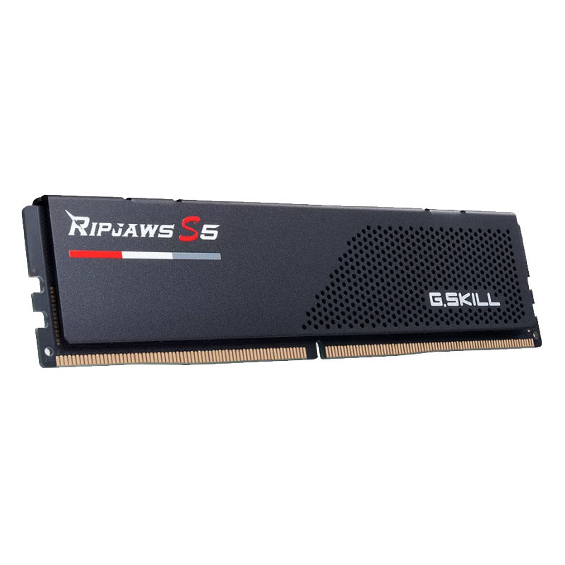 G.SKILL Ripjaws S5 16 GB (1x16GB) 6000MT/s DDR5 CL36 EXPO/XMP F5-6000J3636F16GX1-RS5K RAM pomnilnik